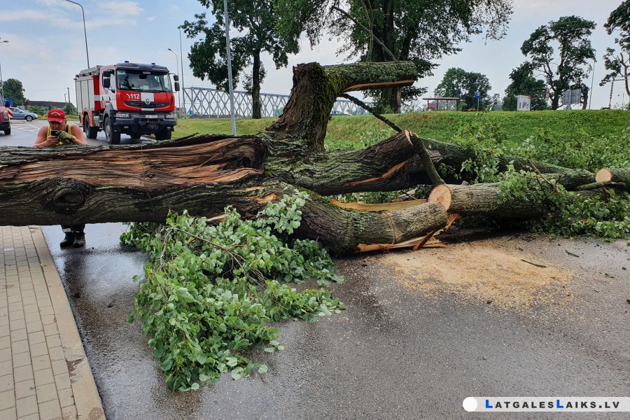 Spēcīgās vēja brāzmas nolauzušas Daugavpilī vairākus desmitus koku