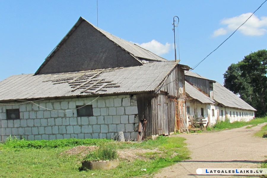 photo.jpg