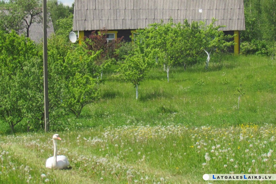 photo.jpg