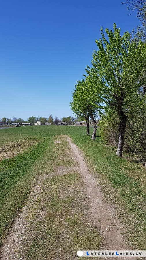photo.jpg