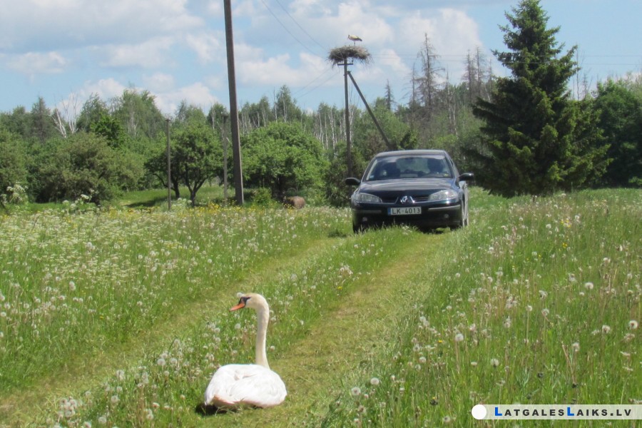 photo.jpg