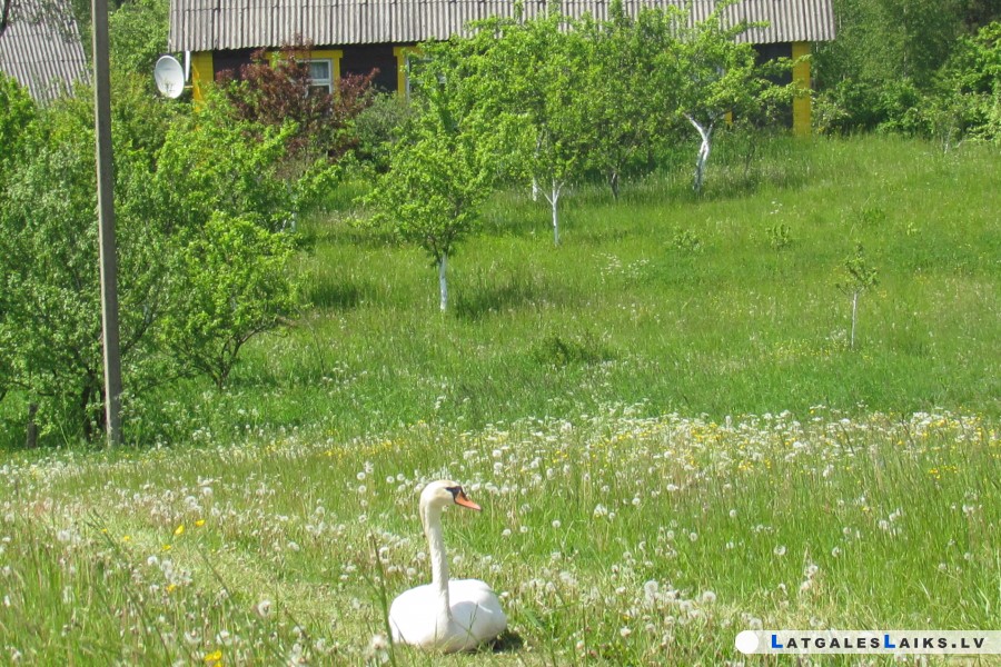 photo.jpg