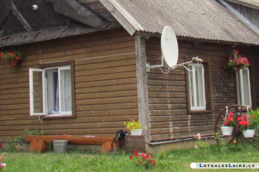 photo.jpg