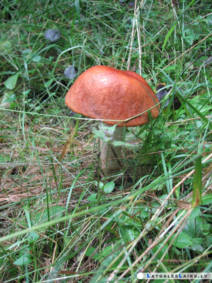 photo.jpg