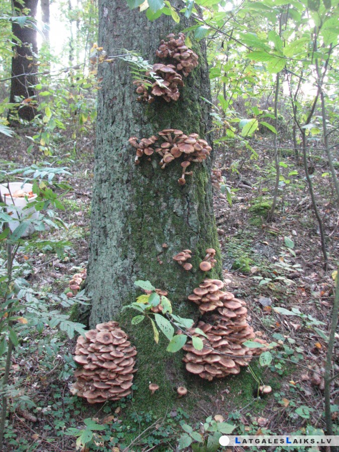 photo.jpg