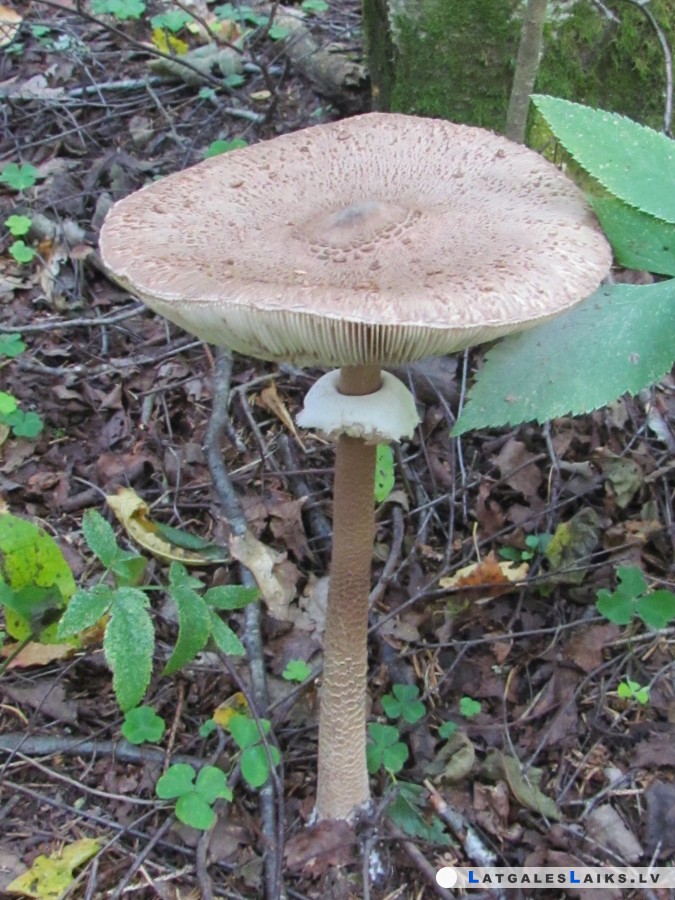 photo.jpg