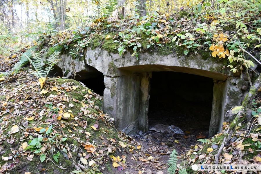 photo.jpg