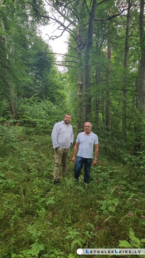 photo.jpg