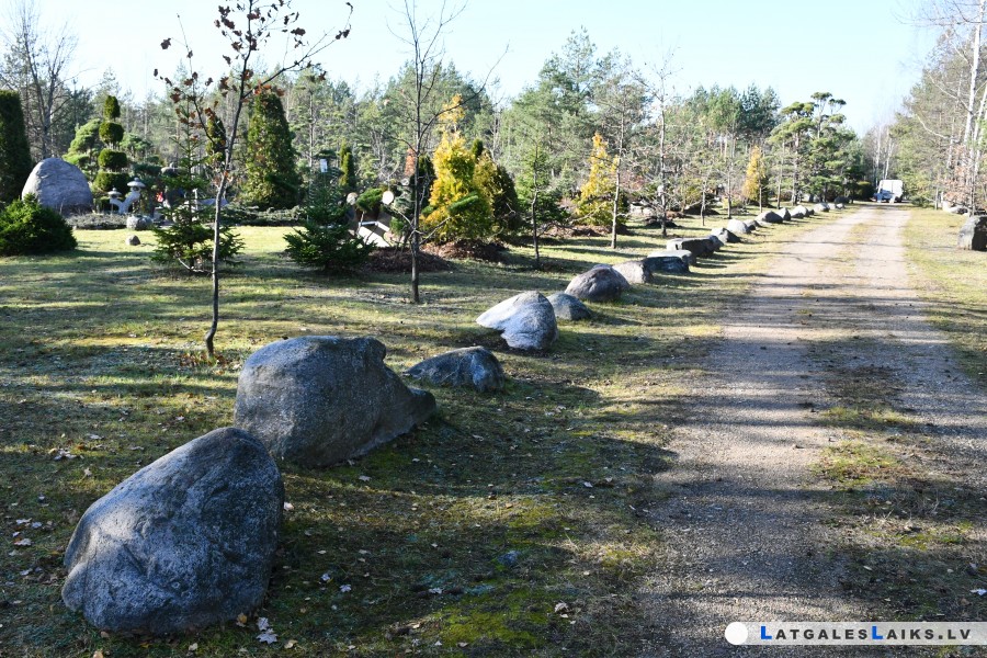 photo.jpg