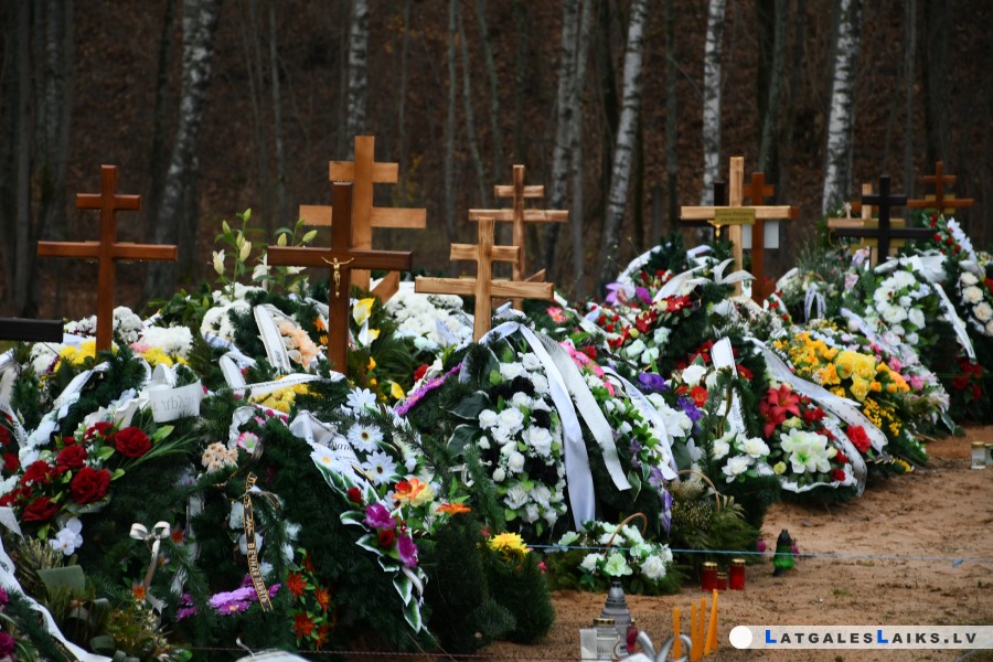 photo.jpg
