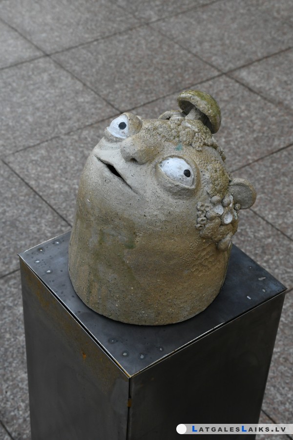 photo.jpg