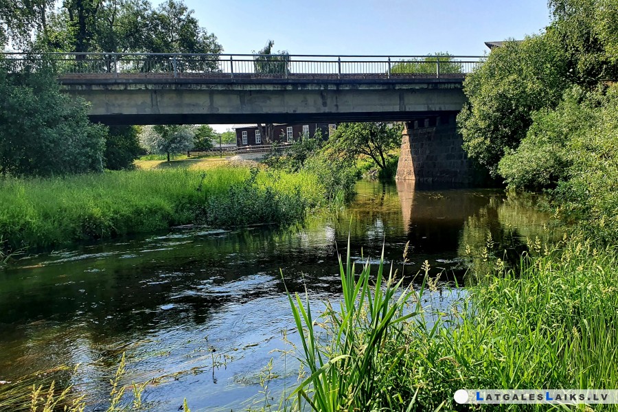 photo.jpg