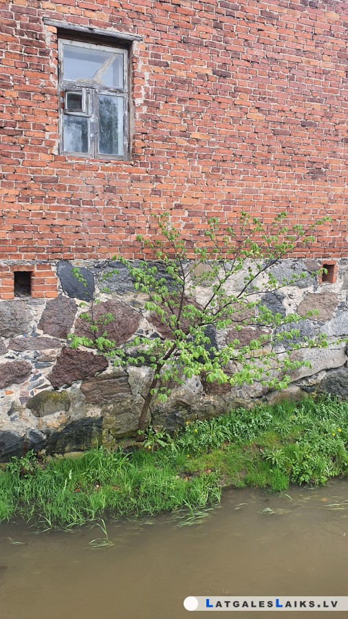 photo.jpg