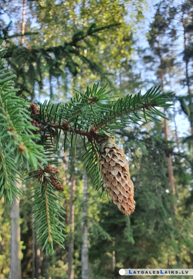 photo.jpg