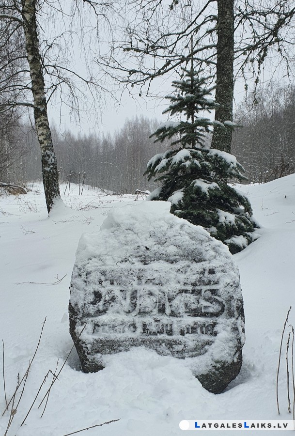 photo.jpg