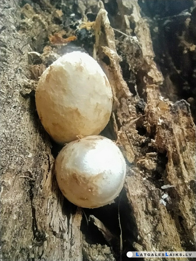 photo.jpg