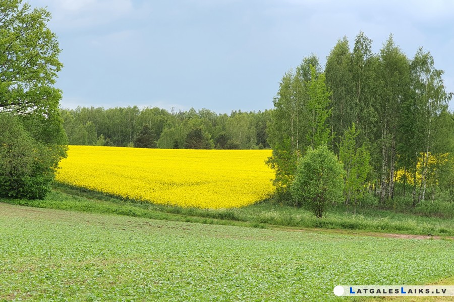 photo.jpg