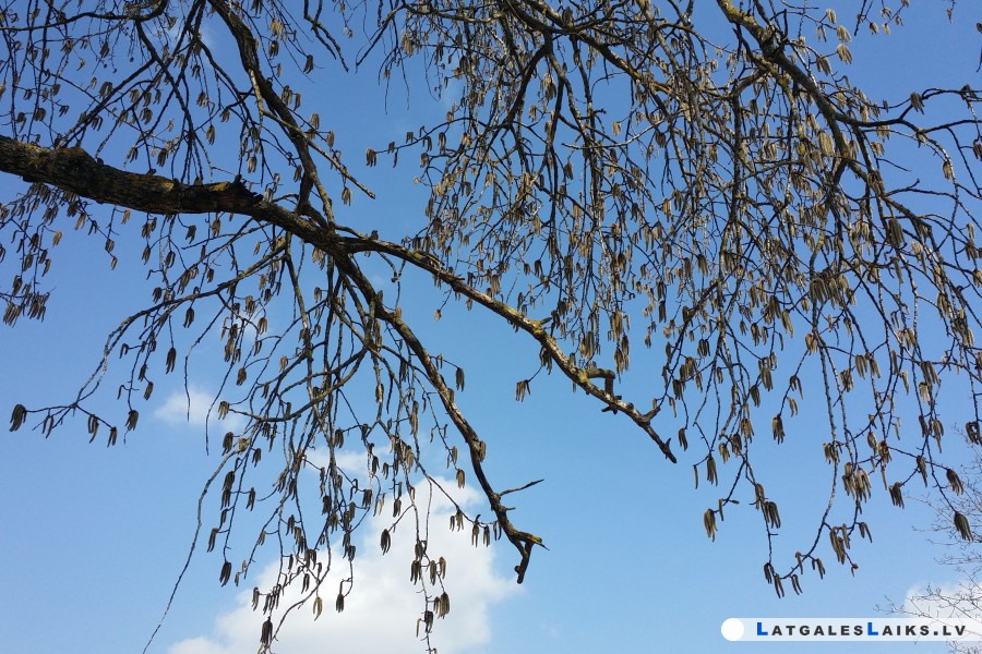 photo.jpg