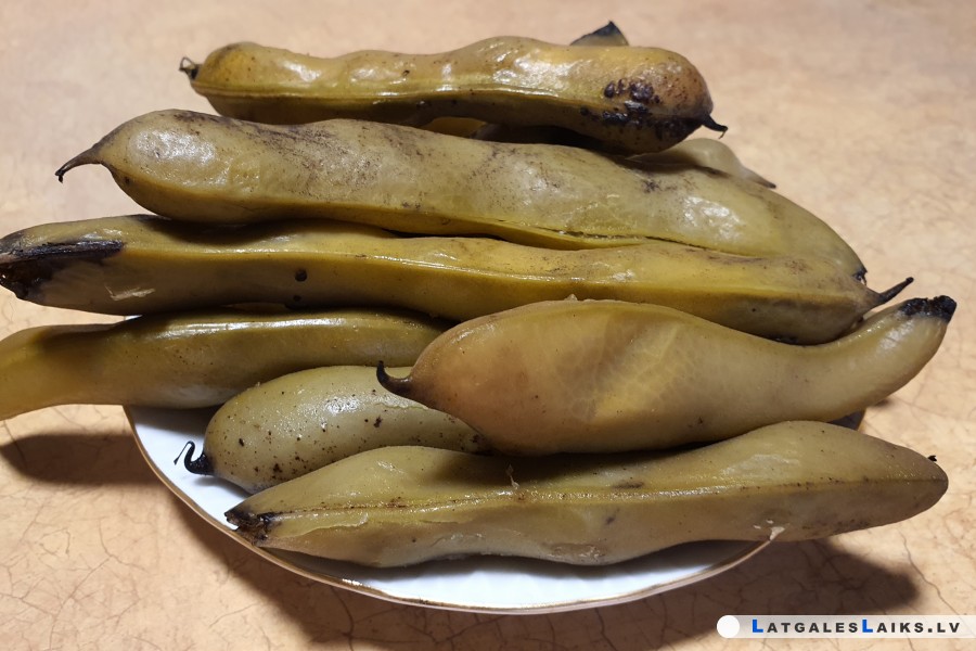 photo.jpg