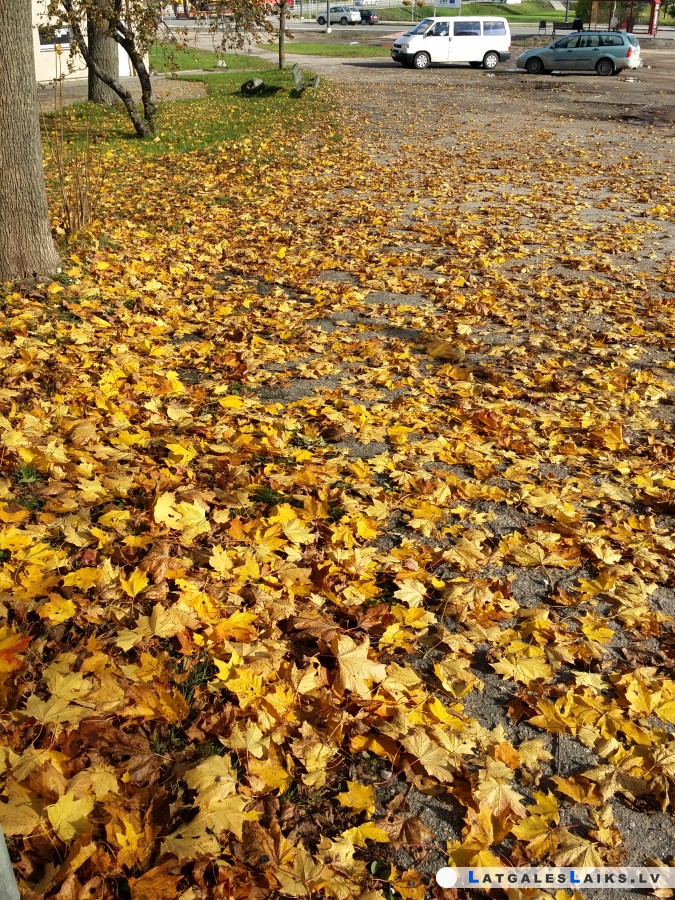 photo.jpg