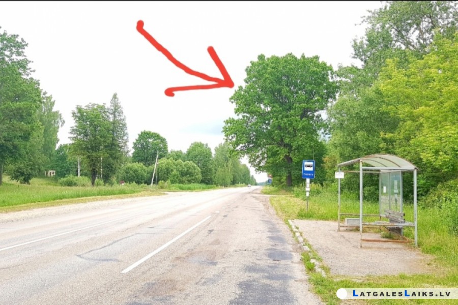 photo.jpg