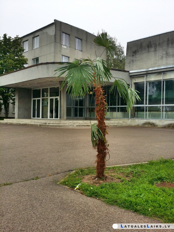 photo.jpg