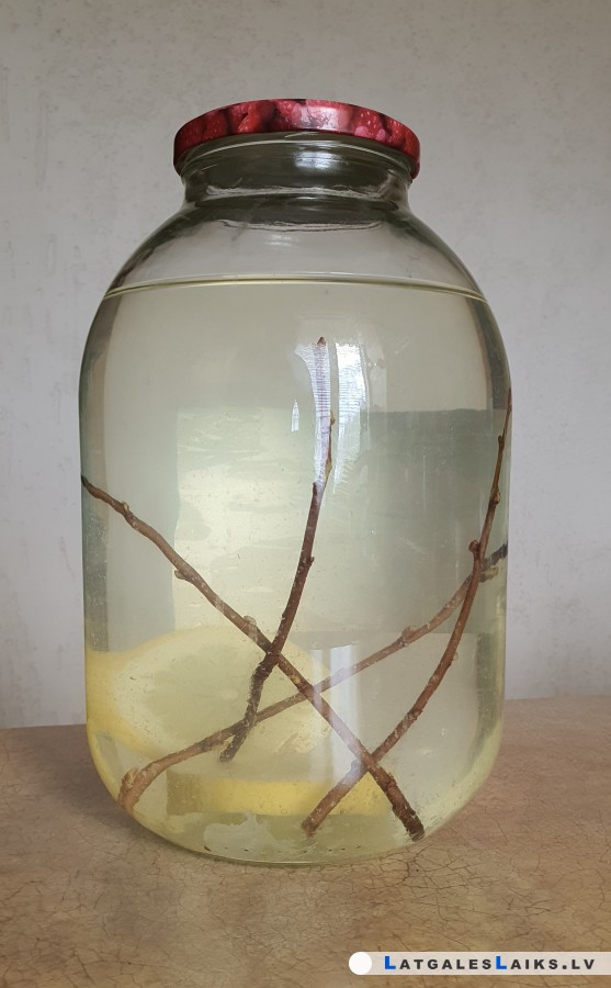 photo.jpg