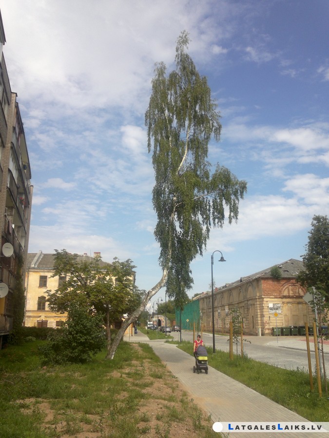photo.jpg