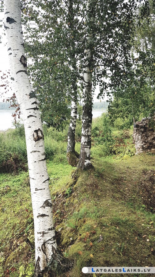 photo.jpg