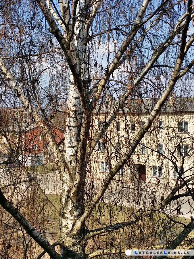 photo.jpg