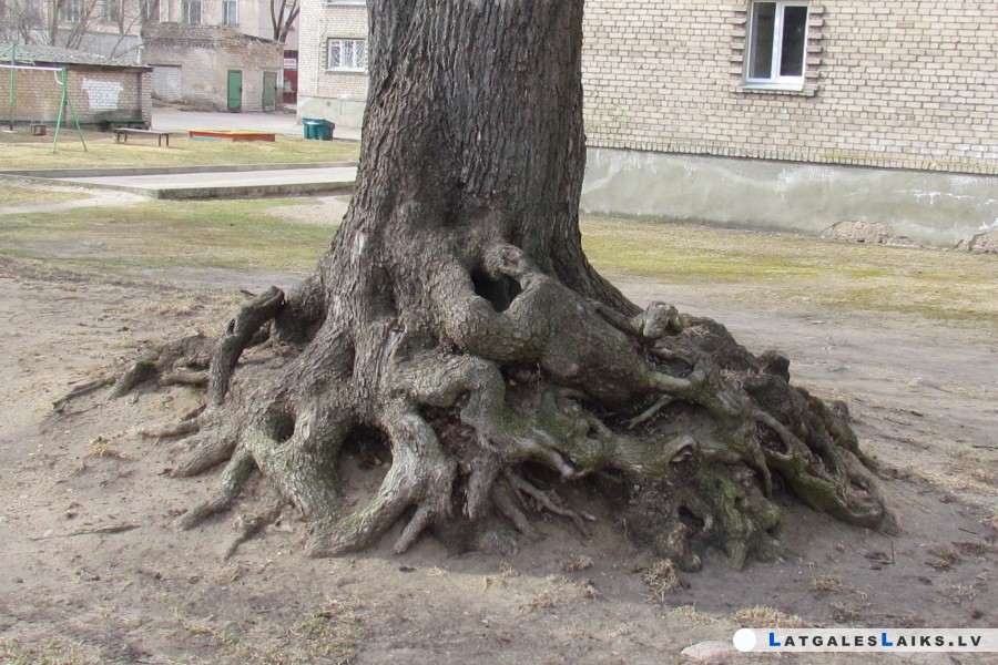 photo.jpg