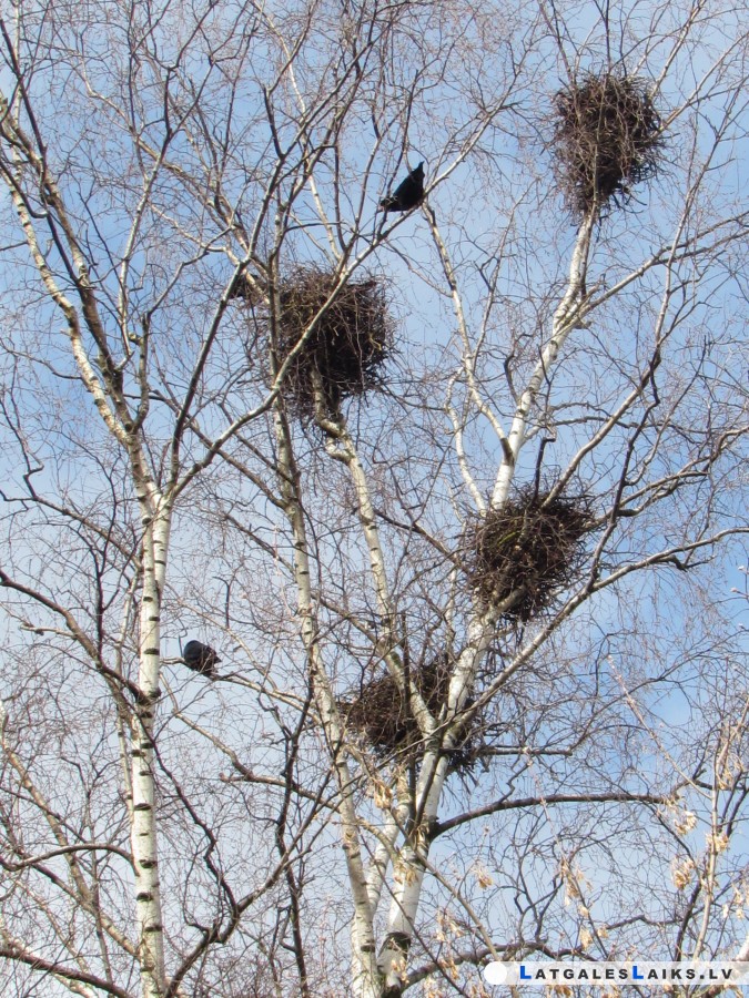 photo.jpg