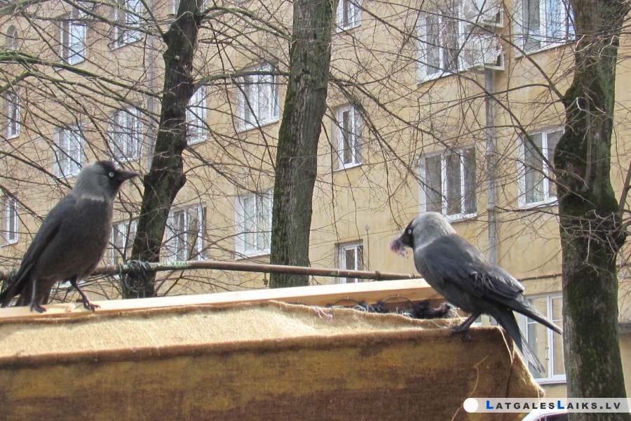 photo.jpg