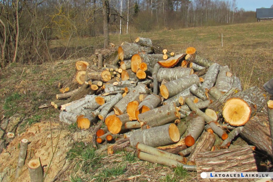 photo.jpg