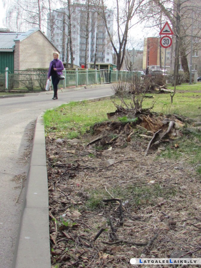 photo.jpg