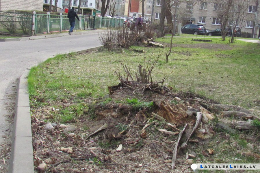 photo.jpg