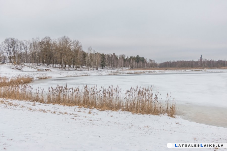 photo.jpg