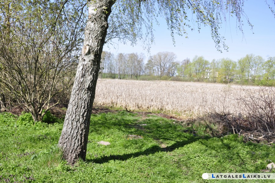 Attīstot vietējo purvu, Daugavpilī piesaistīs tūristus