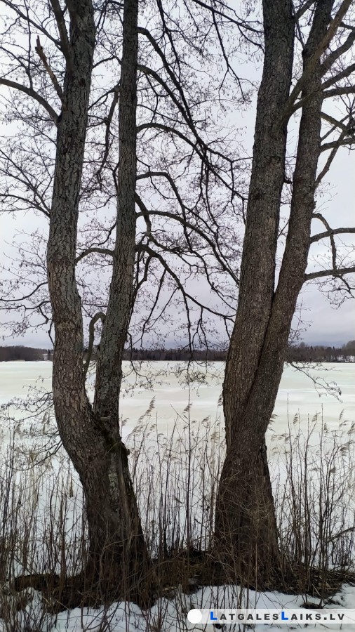 photo.jpg