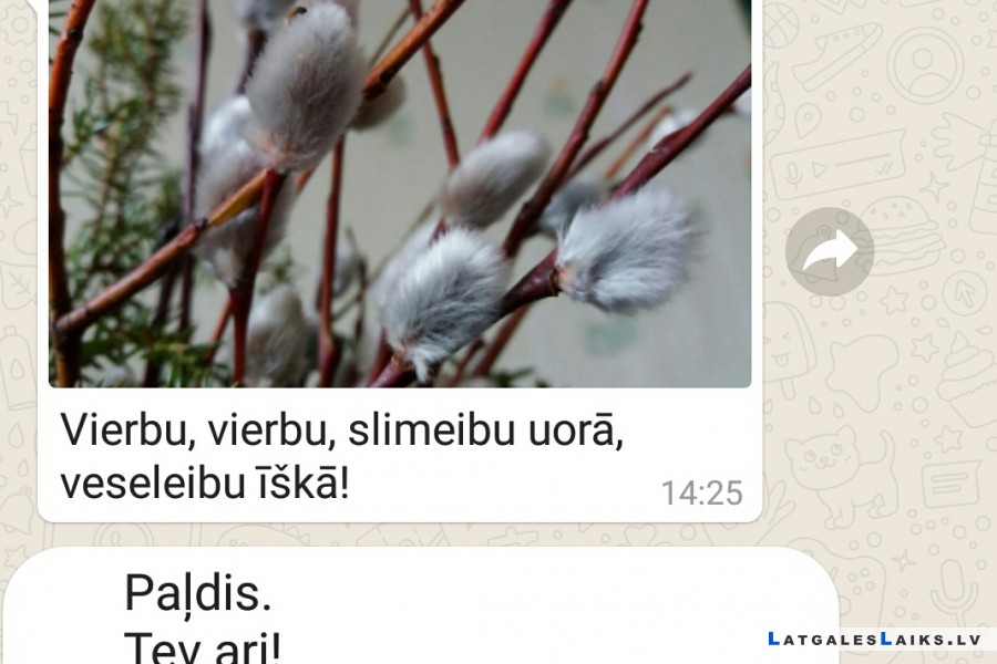 photo.jpg