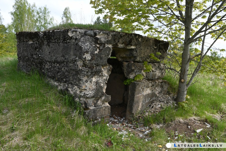 photo.jpg