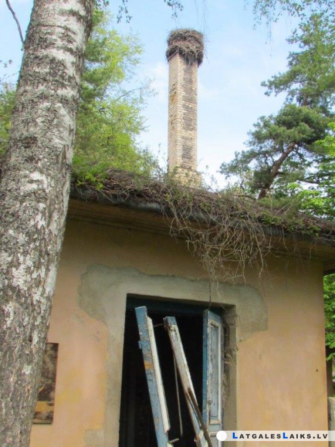 photo.jpg