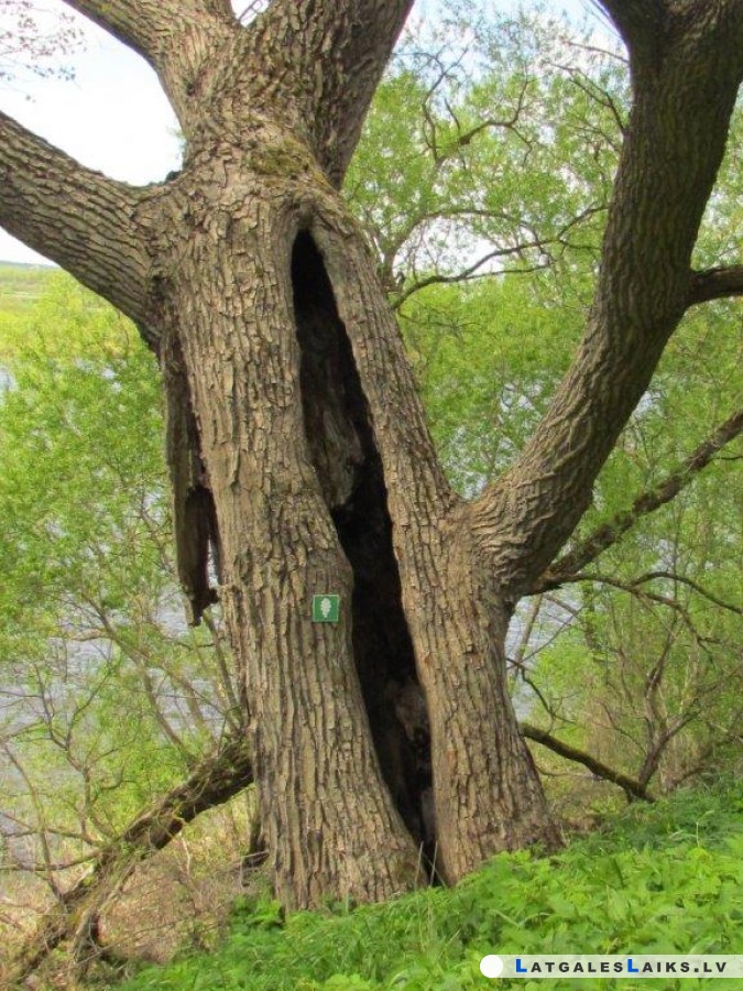 photo.jpg