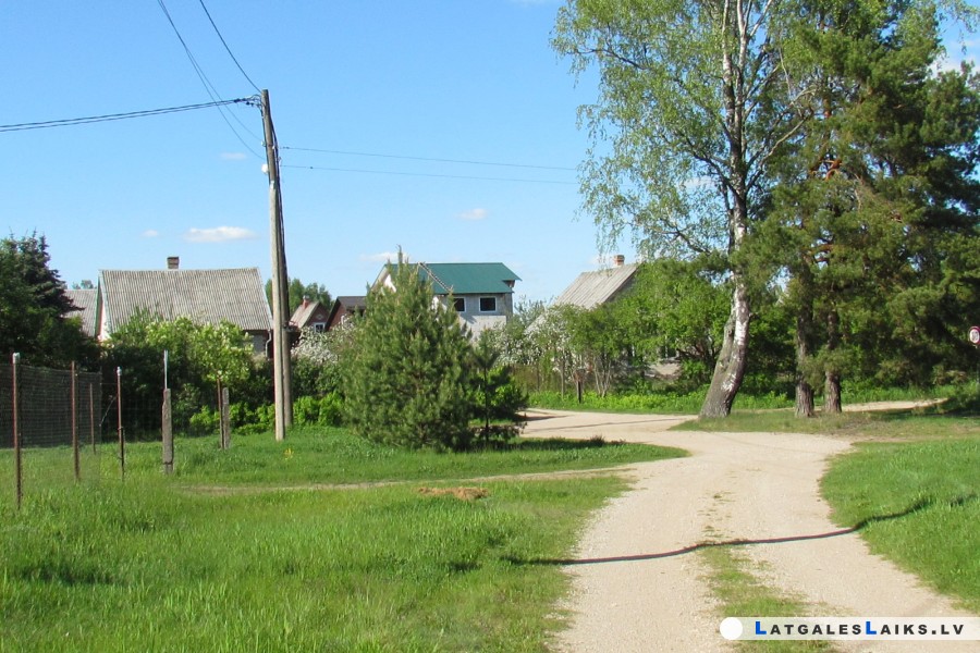 photo.jpg