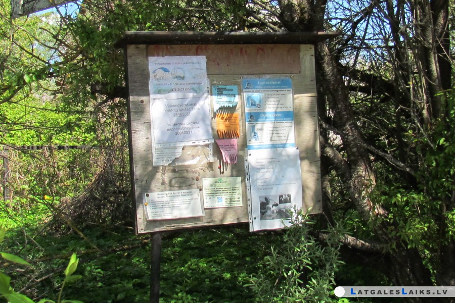 photo.jpg