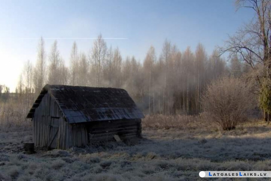Ольха