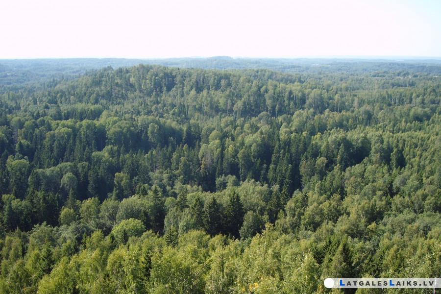 photo.jpg