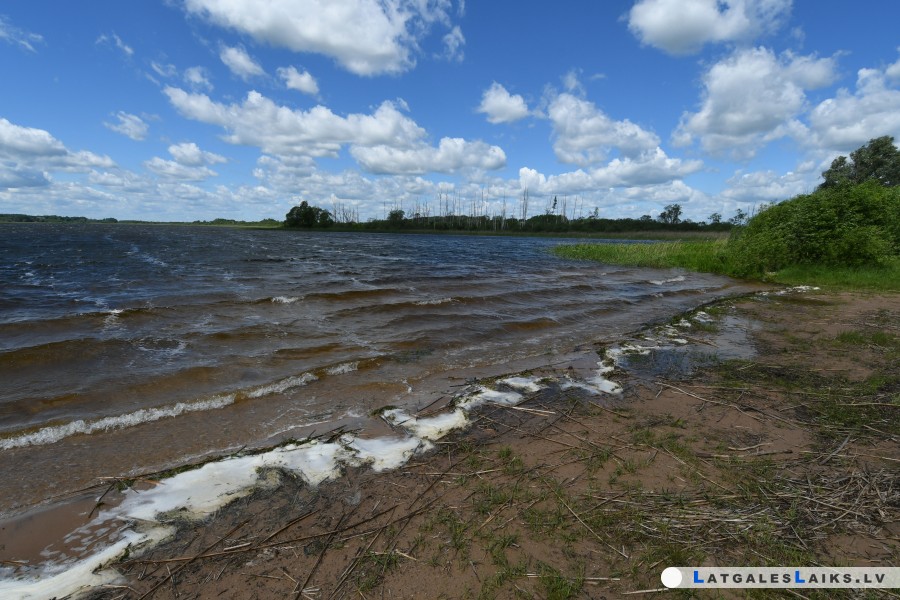 photo.jpg