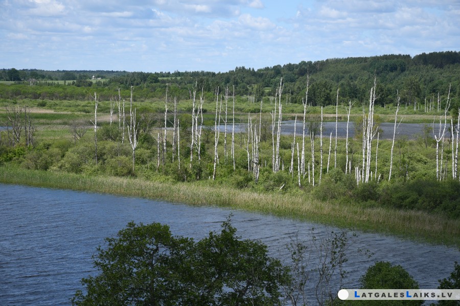 photo.jpg