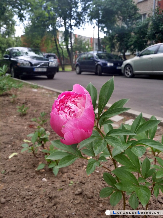 photo.jpg